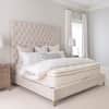 Naturepedic EOS Pillowtop Organic Hybrid Mattress image