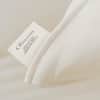 Obasan Luxury Down and Organic Latex Pillow image