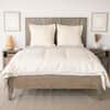 Naturepedic Alpaca Duvet Insert Comforter image