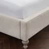 Charlotte Upholstered Bed image
