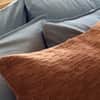 Toro Canyon Organic Pillow Cover image