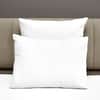 Donatella Sham image