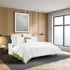 Mylos Flat Sheet image