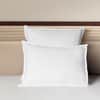 Nuvola Lineare Percale Sham image