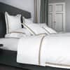 Pegaso Flat Sheet image