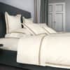 Pegaso Flat Sheet image