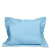 Raffaello Sham image
