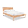 Andover Modern Incline Bed image