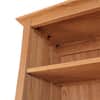 Contemporary Craftsman Custom Bookcase image