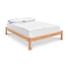 Contemporary Craftsman Studio-Style Platform Bed image