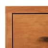 Modern American 1-Drawer Enclosed Shelf Nightstand image