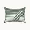 New Silk Travel Pillow - Green & Ivory Stripe image