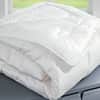 DownTown Company Maize Winter Comforter image