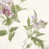 Clematis Duvet Cover image