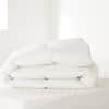 Three Season Down Duvet Insert image