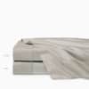 Carlotta Flat Sheet image