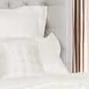 Windsor Silk Decorative Pillow - Ivory image