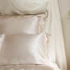Windsor Silk Decorative Pillow - Blush image