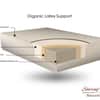 Organic Mattress - Latex 6.5