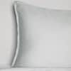 Abriana Sham image