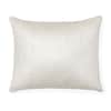 Elia Decorative Pillow image