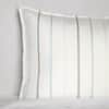 Striscia Sham image