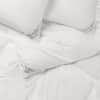 Cardigan Pillow image