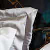 Windsor Silk Decorative Pillow - Silver grey image