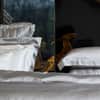 Windsor Silk Decorative Pillow - Silver grey image