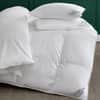 Arcadia Pillow image