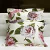 Camelia Sham image