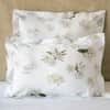 Frangipani Sham image