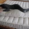 Certified Organic Body Pillows image