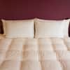 Certified Organic Wool Bed Pillows image
