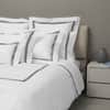Platinum Flat Sheet image