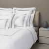 Platinum Flat Sheet image