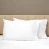 Raffaello Pillowcases image