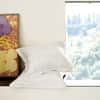 Roseto Sham image
