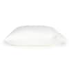 Buxton Pillow image