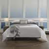 Giotto Flat Sheet image