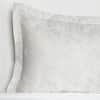 Missio Sham image