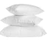 Sequoia Pillows- Best for: The perfect balance of softness and support. image