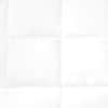 Arcadia Comfort Sleeper Mattress Pad image
