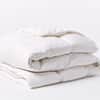 Three Season Down Duvet Insert image