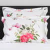 Vivace Sham image