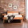Andover Modern Incline Bed image