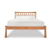 Contemporary Craftsman Low Footboard Bed image