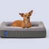 The Dog Bed image