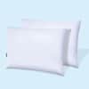 Down Pillow Double Pack image