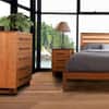 Modern American 5-Drawer Chest image